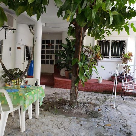 Las Palmas Zihuatanejo Bagian luar foto